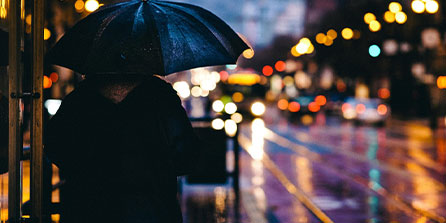 西雅图海湾者焦点战役引爆球迷期待